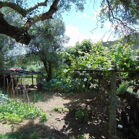 Casa Rebelo Guest House Cossourado  Екстериор снимка