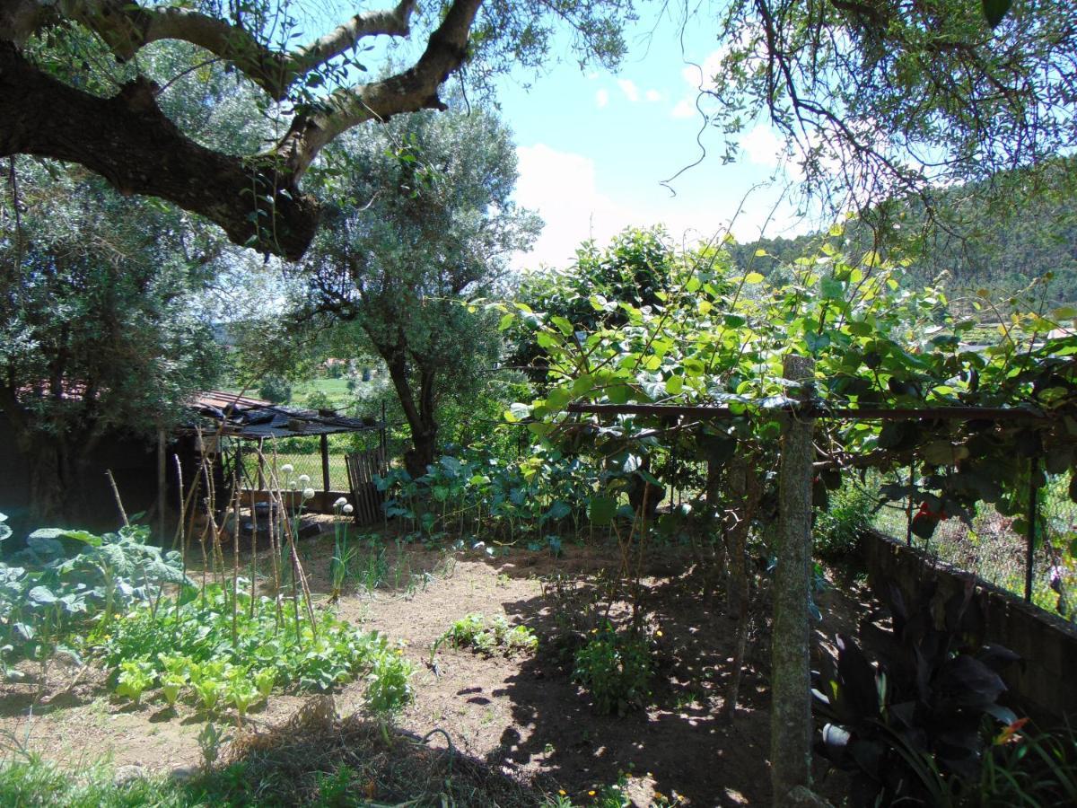 Casa Rebelo Guest House Cossourado  Екстериор снимка