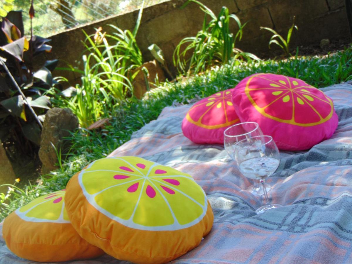Casa Rebelo Guest House Cossourado  Екстериор снимка