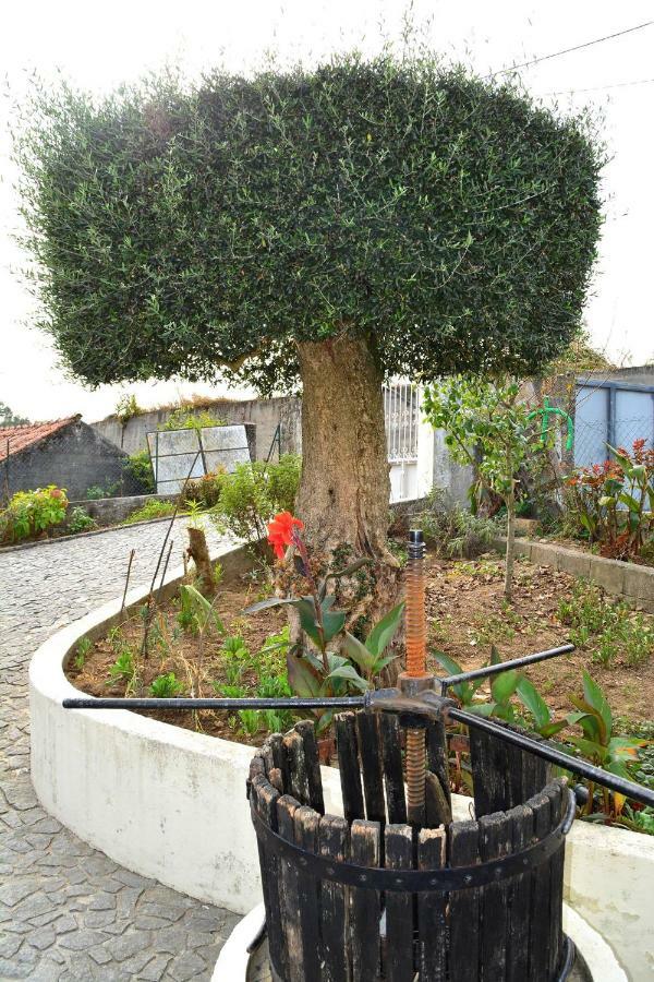 Casa Rebelo Guest House Cossourado  Екстериор снимка